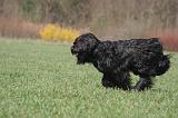 BRIARD 128